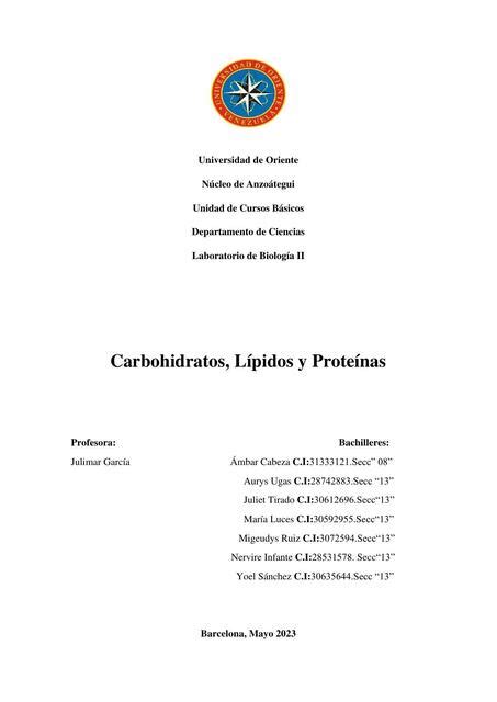 Carbohidratos Lípidos Y Proteínas Nervire Udocz