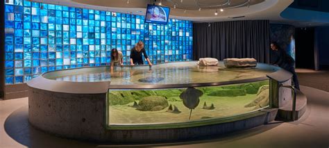 Zoos And Aquariums Market Roto Leading Planning And Design Build Firm