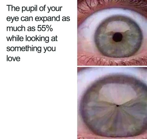 Eye Pupil Expansion Memes Imgflip