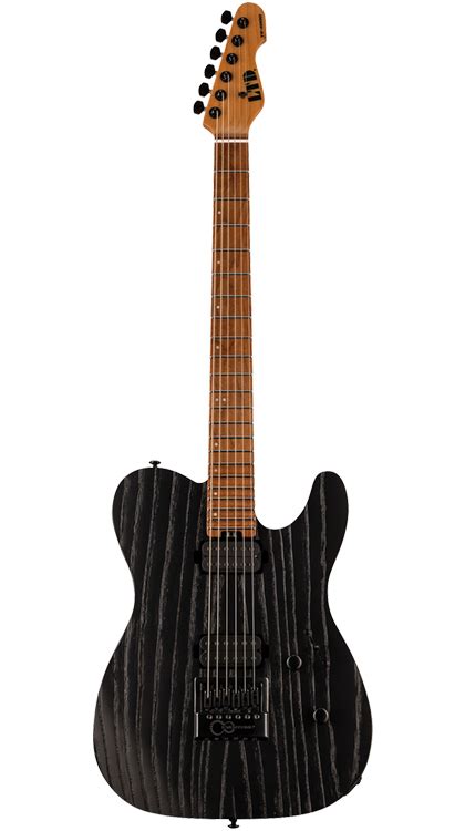 Esp Ltd • Te 1000 • Black Blast • Evertune Aftermarket Upgrade