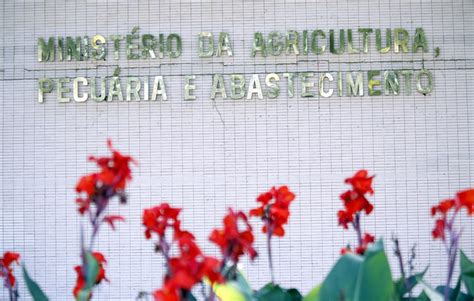 Ao Completar 160 Anos Ministério Da Agricultura Prevê Crescimento De