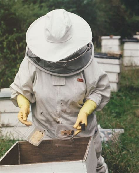 Certified Beginner Beekeeper Courses - Campbells Gold BC Honey Farm & Meadery