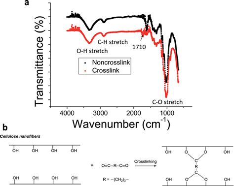 A FTIR Spectra Of Non Crosslinking And Crosslinking Nanopaper B