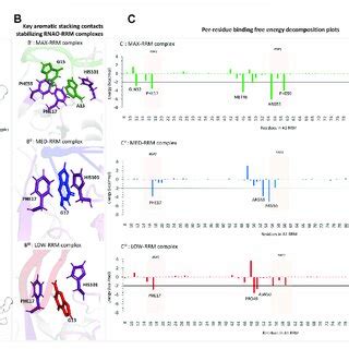 Sequence And Structure Specific RNAO Binding To The RRM1 Region Of A1