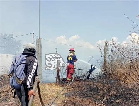 Incendios Forestales Consumen 5 Hectáreas En Maltrata