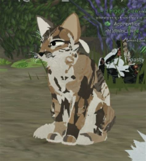 Pin By My World On WC Morphs In 2022 Warrior Cats Art Warrior Cats