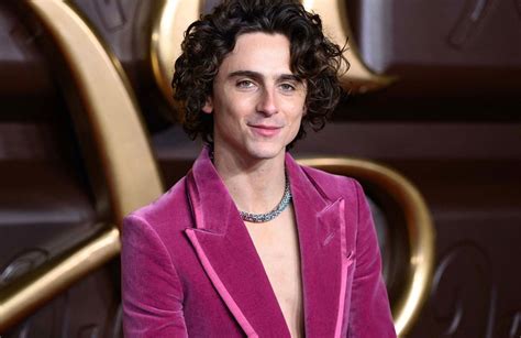 Timothée Chalamet En 9 Rôles Elle