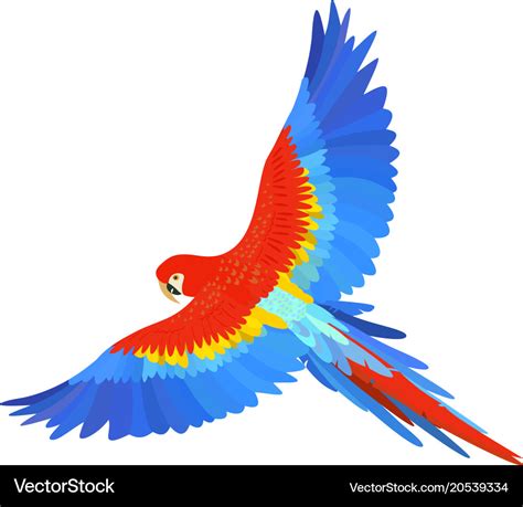 Ara macaw parrot spread wings Royalty Free Vector Image