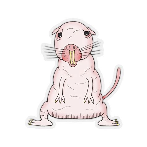 Naked Mole Rat Sticker Weatherproof Etsy