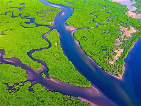 Amazon River Mangroves Aerial View Brazil Bing 5k Preview