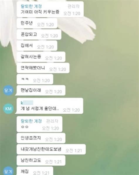 텔레그램 N번방의 피의자 갓갓과 N번방에 대한 개념과 실체 총정리 Newsnack