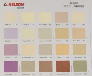 NELSON MATT FINISH ENAMEL Drum Size EZMakaan