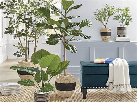 How To Use Artificial Plants Indoors Grandin Road Blog