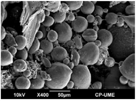 Microscopía electrónica de barrido en ciencias agrícolas