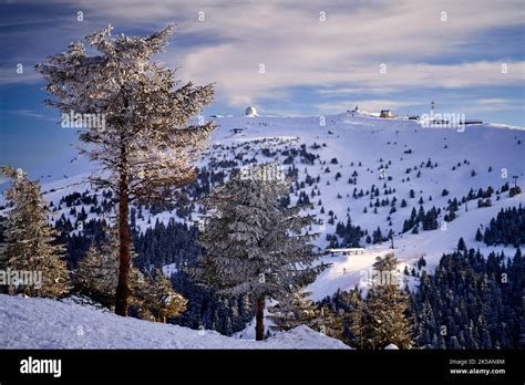 An Amazing Winter Shot Of Kopaonik Mountain Resort Taken In Serbia