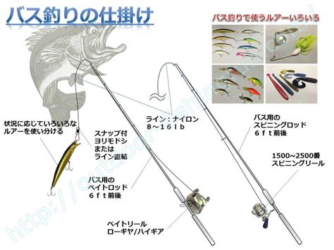 ブラックバス・シーバスのルアー釣りの道具と基本的な仕掛け 釣りお役立ち便利ガイド！