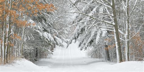 Michigan Nut Photography | Winter in Michigan | "Country Roads" Winter ...