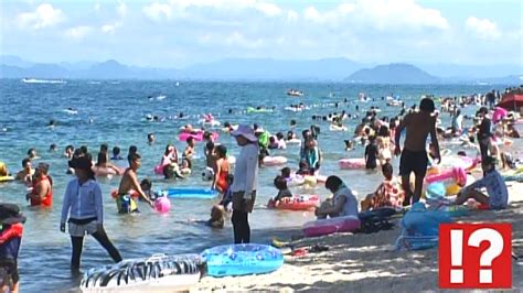 泳いで焼いてbbq！滋賀県民は海でやること何でも琵琶湖でやっちゃうの？｜tverプラス テレビ番組最新情報＆エンタメニュースまとめ