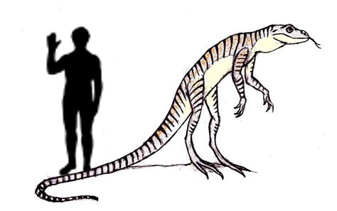 Milton Lizard This 14ft Long Bipedal Lizard Was First Recorded Around