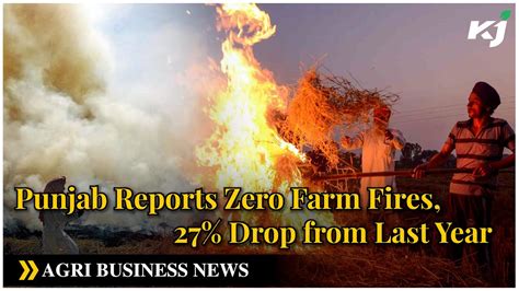 Punjab Reports Zero Farm Fires Drop From Last Year Stubble