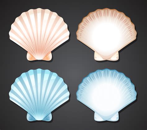 Scallop Shell Vector Png Vector Psd And Clipart With Transparent The