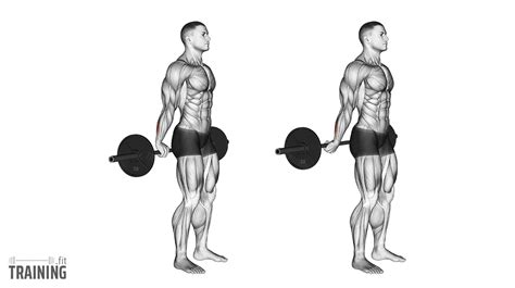 Reverse Standing Wrist Curl Instructions Information Alternatives