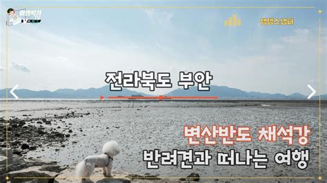 전북 부안변산반도 반려견과 떠나는 여행 채석강 격포해수욕장 부안갯벌 댕댕스냅퍼 Youtube