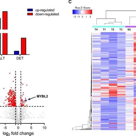 Circular Rna Expression Profiles In Bladder Cancer And Adjacent Normal