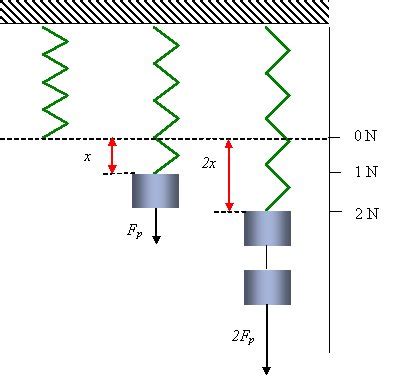 Hooke S Law Boundless Physics Course Hero