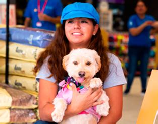 Jornada De Adopciones