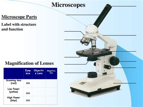 Microscope High Power Objective Lens Function at Nicole Hall blog