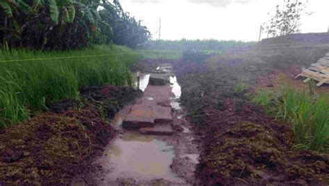 Eskavasi Tahap Situs Gemekan Mojokerto Tim Temukan Tutup Peripih Dan