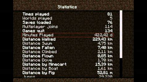 How Many Hours Do I Have On Minecraft QUICK VIEW