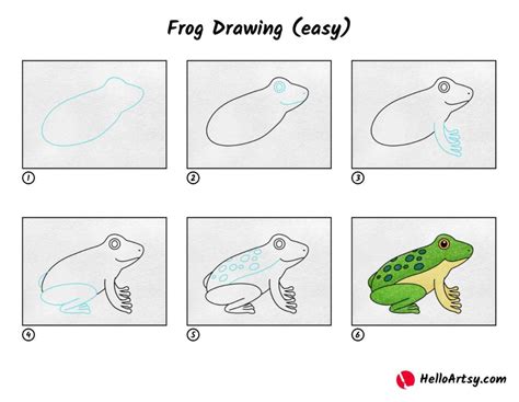 Frog Drawing (easy) - HelloArtsy