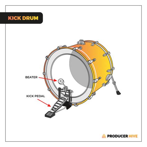 The Ultimate Guide To ALL Types Of Drums & Percussion