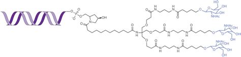 Galnacsirna Conjugates Structure Of The Triantennary Galnacsirna