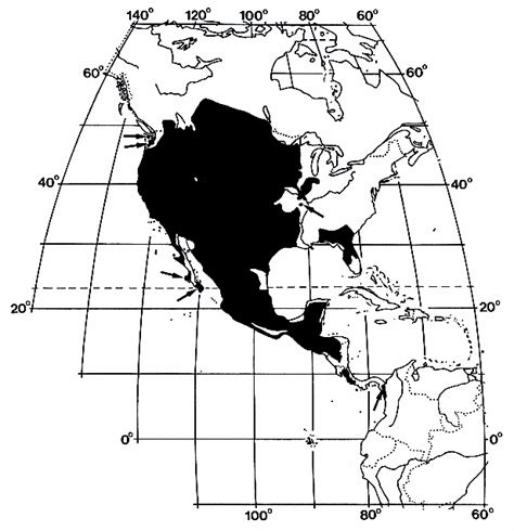 Geomyidae Distribution Map