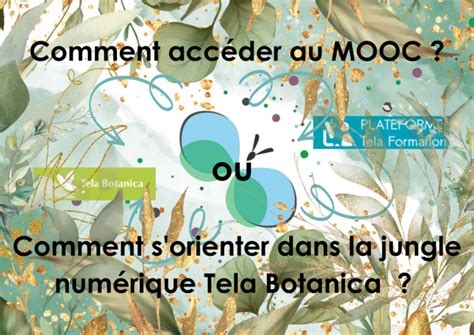 Ouverture de la Séquence 5 du MOOC Pollinisateurs Tela Botanica