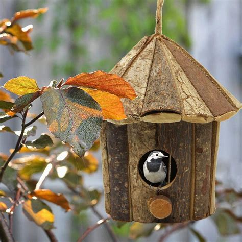 How To Choose Right Birdhouse To Attract Nesting Birds