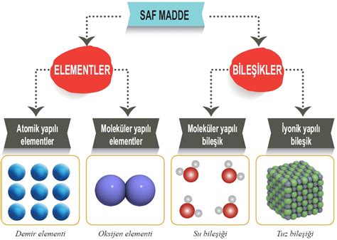 SAF MADDELER 7 SINIF