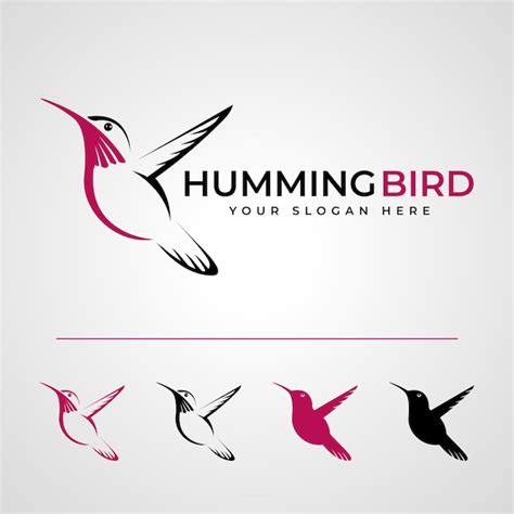 Premium Vector Abstract Humming Bird Logo