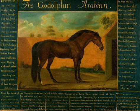 The Godolphin Arabian - Hall of Fame