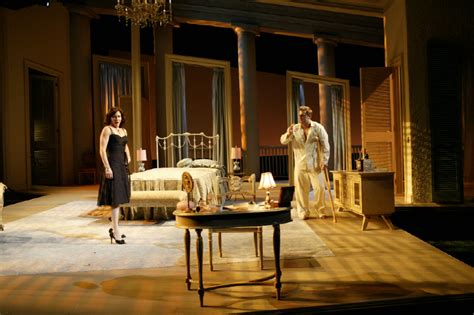 Cat On A Hot Tin Roof Design By Rui