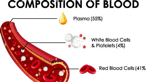 Blood Blood Composition Blood In Hindi RBC WBC Platelets Pharma