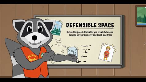 Wildfire Ready Raccoon TV Episode 2 Defensible Space YouTube