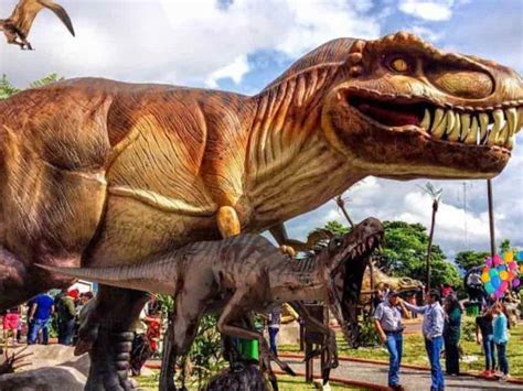 Parque De Los Dinosaurios Cu Nto Cuesta La Entrada Para Ver A Un