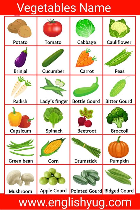 Vegetables Name In English Name Of Vegetables Vegetables Names With