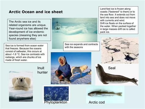Arctic ecosystems | PPT