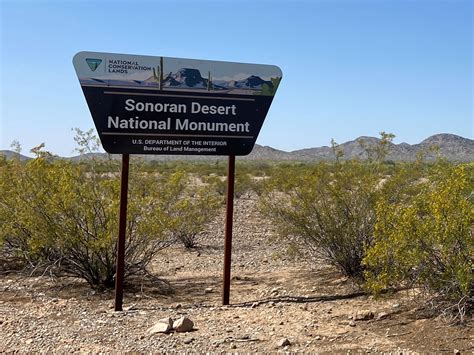 Sonoran Desert National Monument