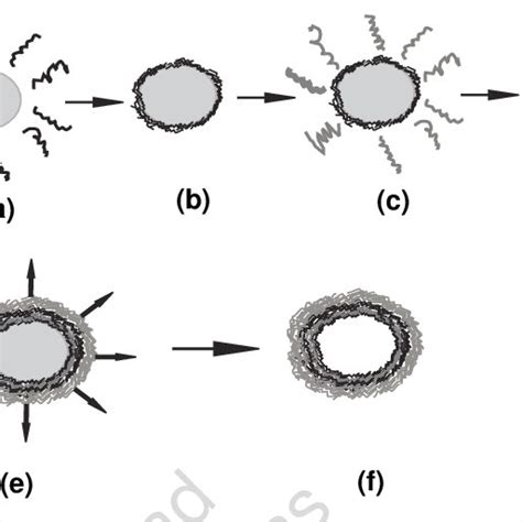 Polyelectrolyte Coating Of Colloidal Particles With Polycations Steps Download Scientific